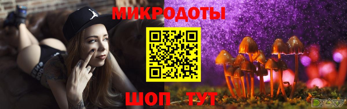 Галлюциногенные грибы Magic Shrooms Брянск
